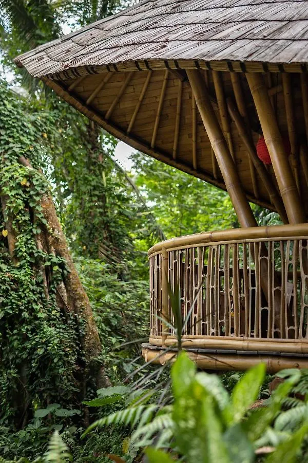 Bamboo Turtles Ecolodge Ubud