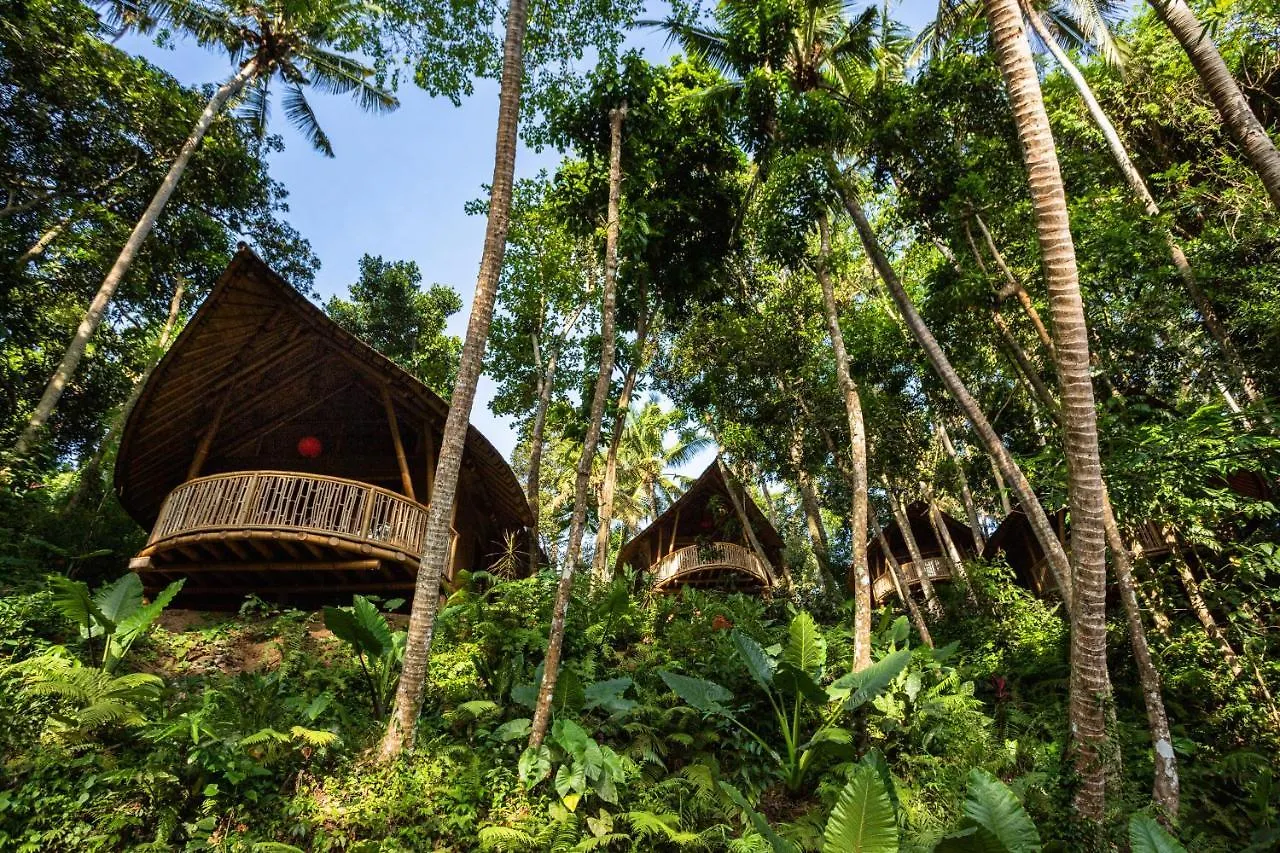 Bamboo Turtles Ecolodge Ubud 0*,  Indonésie