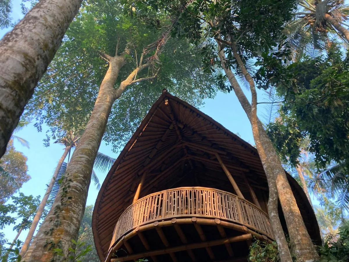 Bamboo Turtles Ecolodge Ubud 0*,