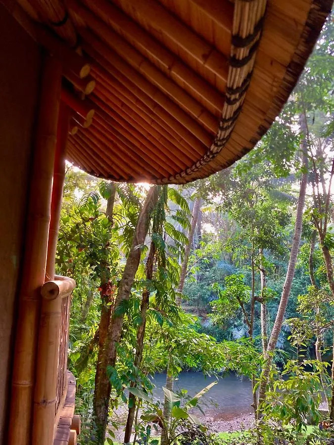 Bamboo Turtles Ecolodge Ubud Lodge