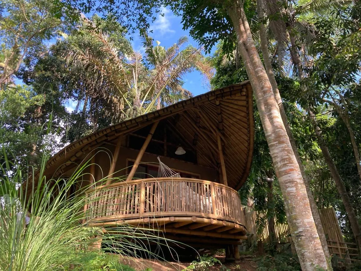 Bamboo Turtles Ecolodge Ubud